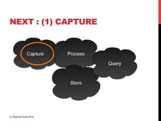 NEXT : (1) CAPTURE
(c) Elephant Scale 2015
 
