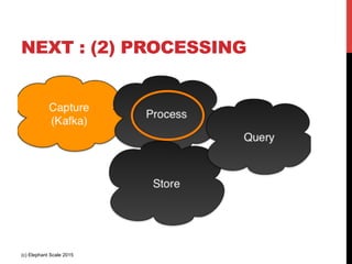 NEXT : (2) PROCESSING
(c) Elephant Scale 2015
 