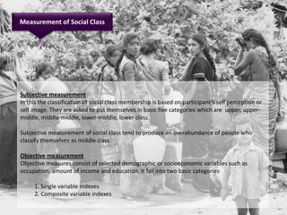 Reference Group & Social Class | PDF