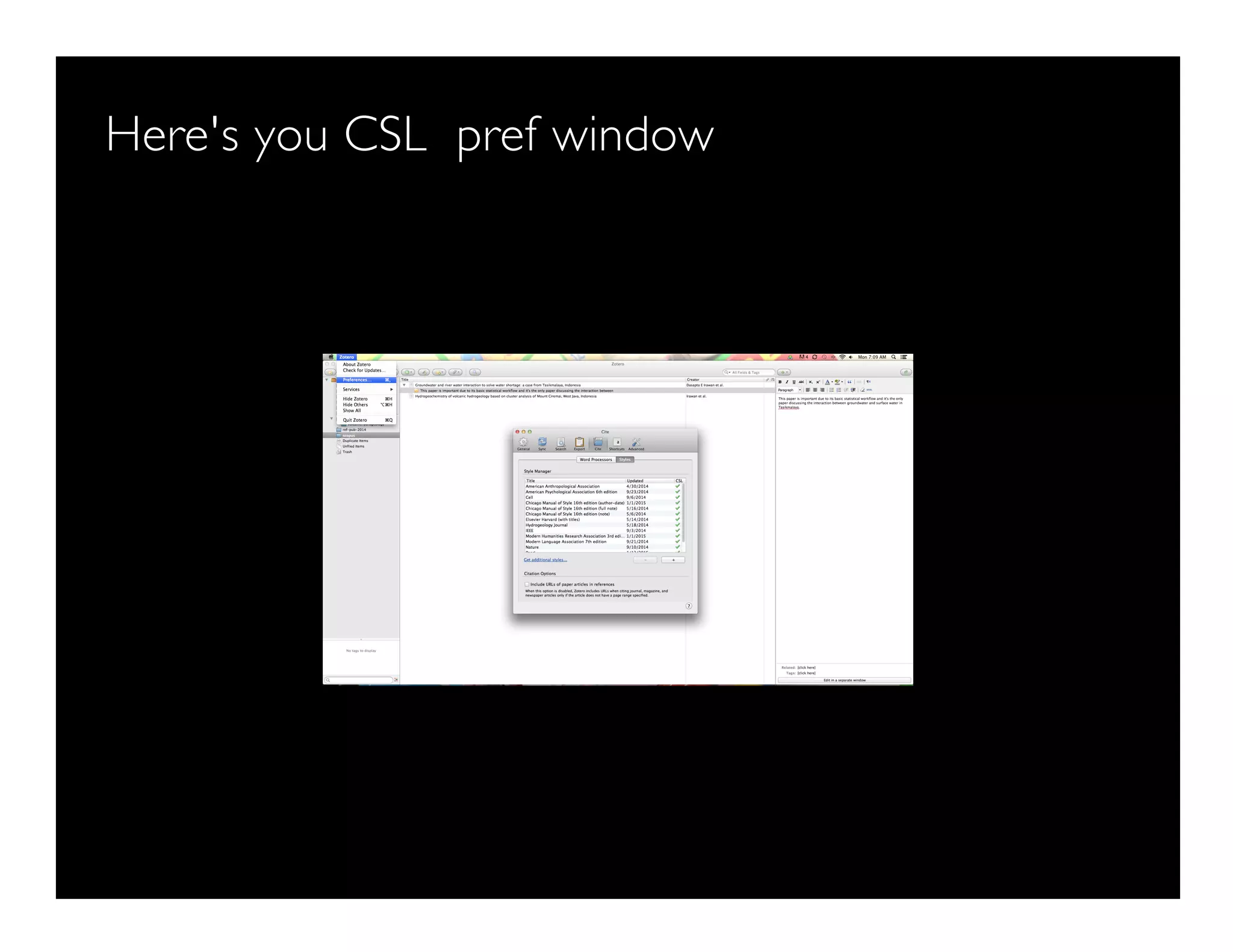 Here's you CSL pref window
 