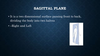 SAGITTAL PLANE
• It is a two dimensional surface passing front to back,
dividing the body into two halves
• –Right and Left
 