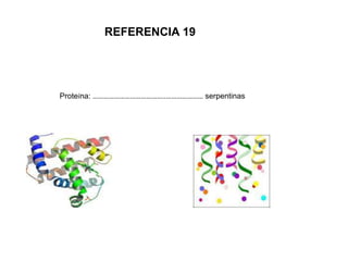 REFERENCIA 19




Proteína: …………………………………..………………… serpentinas
 