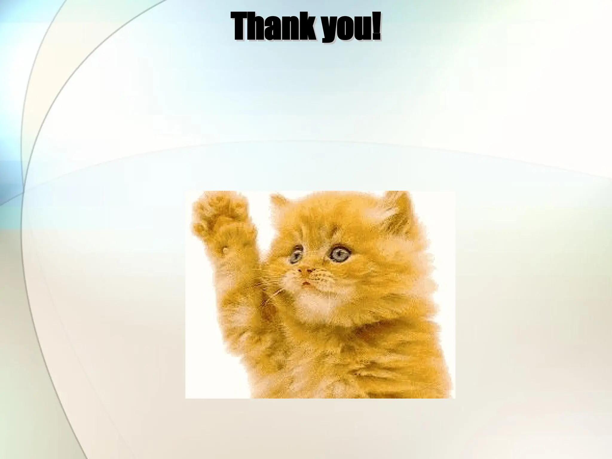 Thank you!
Thank you!
 