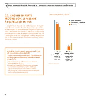 Open innovation & agilité : la culture de l’innovation est un vrai moteur de transformation !3
3.2. L’AGILITÉ EN FORTE
PROGRESSION, LE PASSAGE
À L’ECHELLE EST EN VUE
ff
Distribution - Commerce
Santé - Pharmacie
Moyenne
Est un levier
majeur
de la transformation
digitale et
une priorité
pour nous
N’est pas
un levier majeur
de la
transformation
digitale et
n’est pas faite
pour nous
87 %
13 %
Note : 304 répondants
REFERENTIEL 2017.indd 86 20/06/2017 00:22
 