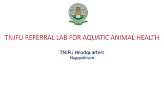 TNJFU REFERRAL LAB FOR AQUATIC ANIMAL HEALTH
TNJFU Headquarters
Nagapattinam
 
