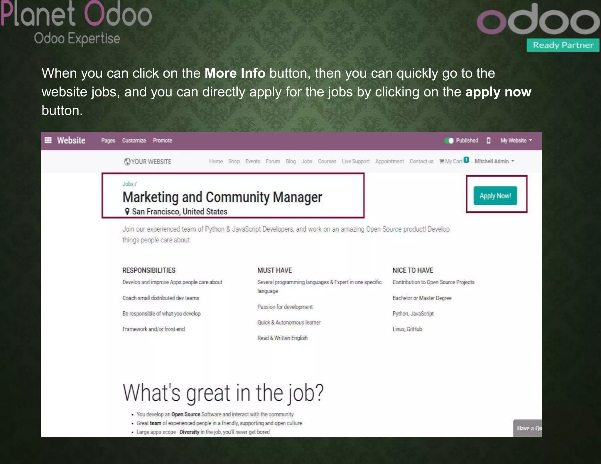 When you can click on the More Info button, then you can quickly go to the
website jobs, and you can directly apply for the jobs by clicking on the apply now
button.
 