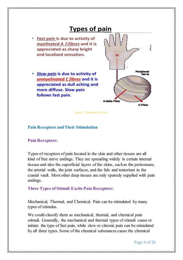 Referred pain dr ahmed reda DOCX Dental Health Diseases and