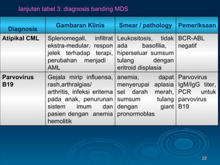 lanjutan tabel 3: diagnosis banding MDS Parvovirus IgM/IgG titer, PCR untuk parvovirus B19 anemia, dapat menyerupai aplasia sel darah merah, sumsum tulang dengan giant pronormoblas Gejala mirip influensa, rash,arthralgias/ arthritis, infeksi eritema pada anak, penurunan sistem imum dan pasien dengan  anemia hemolitik Parvovirus B19 BCR-ABL negatif Leukositosis, tidak ada  basofilia,  hiperseluar sumsum tulang dengan eritroid displasia Splenomegali, infiltrat ekstra-medular, respon jelek terhadap terapi, perubahan menjadi  AML Atipikal CML Pemeriksaan Smear / pathology Gambaran Klinis Diagnosis 