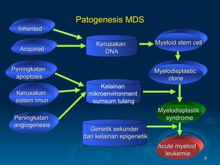 Myelodisplastic  clone Myelodisplastik syndrome Acute myeloid  leukemia Kerusakan  DNA Kelainan  mikroenvironment  sumsum tulang Genetik sekunder dan kelainan epigenetik Inherited Acquired Myeloid stem cell Peningkatan  apoptosis Peningkatan  angiogenesis Kerusakan  sistem imun Patogenesis MDS 