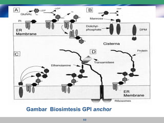 Gambar  Biosimtesis GPI  anchor 