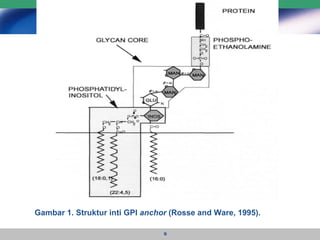 Gambar 1. Struktur inti GPI  anchor  (Rosse and Ware, 1995). 
