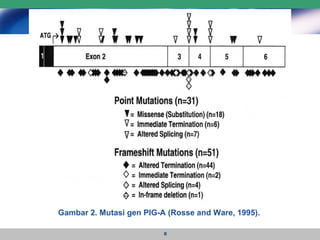 Gambar 2. Mutasi gen PIG-A (Rosse and Ware, 1995). 