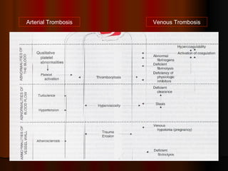 Arterial Trombosis Venous Trombosis 