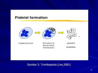 Gambar 5. Trombopoisis (Lee,2001) 