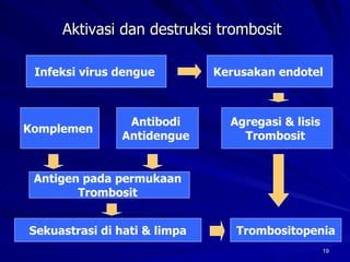 Aktivasi dan destruksi trombosit   Infeksi virus dengue  Kerusakan endotel   Agregasi & lisis  Trombosit  Trombositopenia Komplemen  Antibodi  Antidengue  Antigen pada permukaan  Trombosit  Sekuastrasi di hati & limpa 
