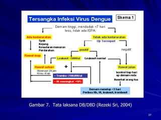 Gambar 7.  Tata laksana DB/DBD (Rezeki Sri, 2004) 