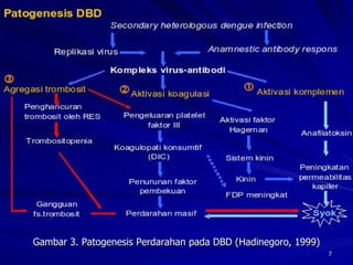 Gambar 3. Patogenesis Perdarahan pada DBD (Hadinegoro, 1999) 