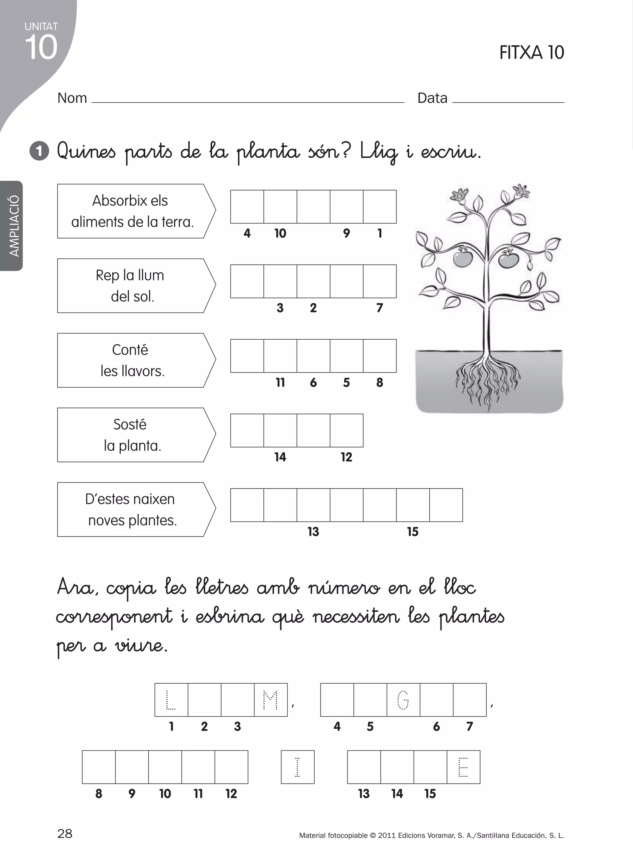 UNITAT

10
Nom

AMPLIACIÓ

1

1

FITXA 10
Data

Qui>eﬁ partﬁ ∂æ lå plantå só>? L”li@ ^ escri€.
Absorbix els
aliments de la terra.

4

Rep la llum
del sol.

10

9

3

Sosté
la planta.

2

11

Conté
les llavors.

6

1

14

7

5

8

12

D’estes naixen
noves plantes.

13

15

A”rå, copiå ¬eﬁ l¬et®eﬁ amb núµero e> e¬ llo©
cor®espo>en† ^ esbrinå q€ê >e©essi†e> ¬eﬁ plan†eﬁ
πe® å viu®æ.

L
1

M
2

G

,

3

4

5

,
6

I
8

9

28
305505 _ 0001-0040.indd

10

11

12

7

E
13

14

15

Material fotocopiable © 2011 Edicions Voramar, S. A./Santillana Educación, S. L.

28

20/05/11

13:15

 
