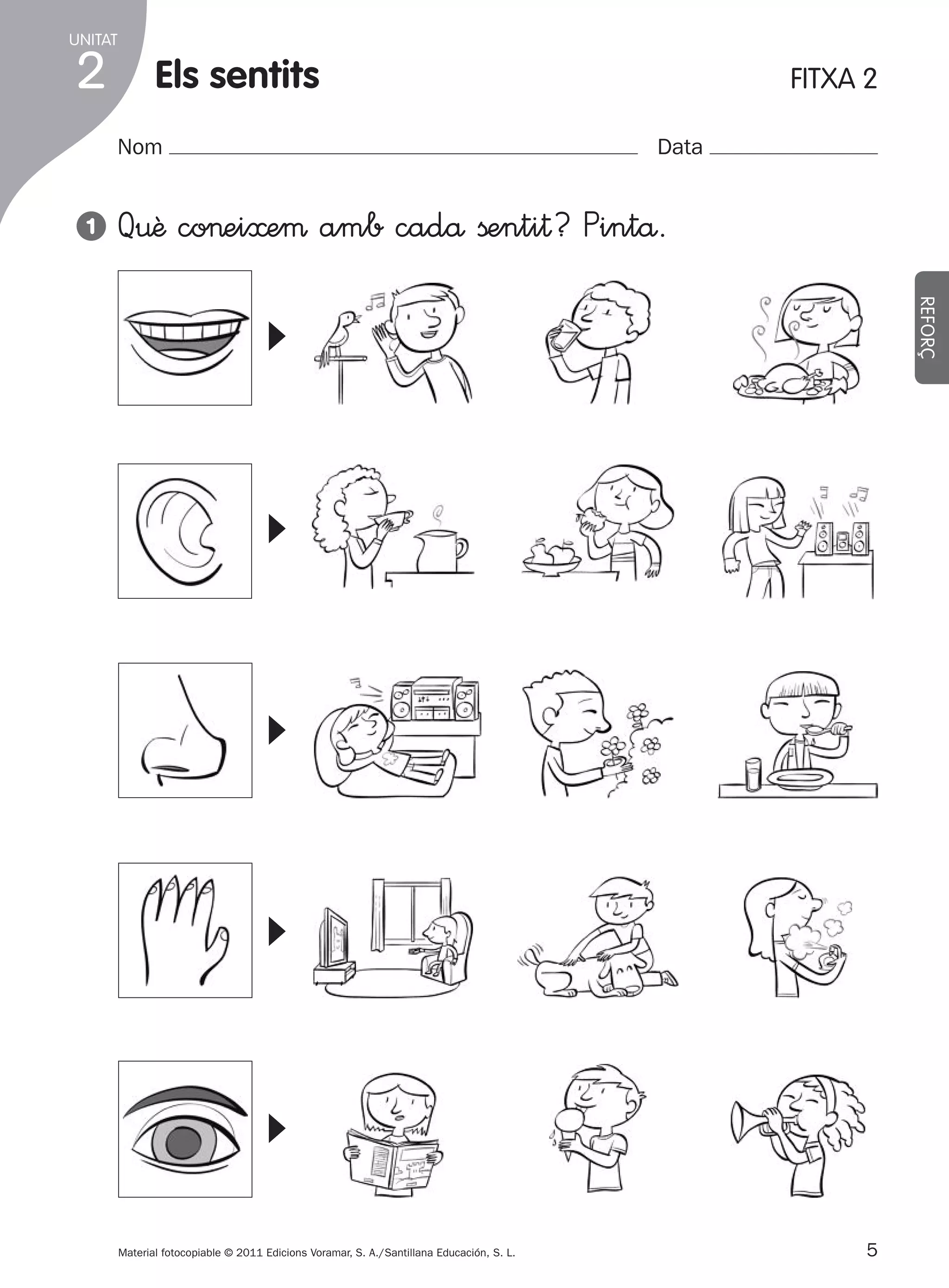 UNITAT

2
1

Els sentits
Nom

Data

Q€ê co>ei≈eµ amb cadå ßenti†? Pintå.
REFORÇ

▼

▼

▼

▼

▼

1

FITXA 2

Material fotocopiable © 2011 Edicions Voramar, S. A./Santillana Educación, S. L.

305505 _ 0001-0040.indd

5

5
20/05/11

13:15

 