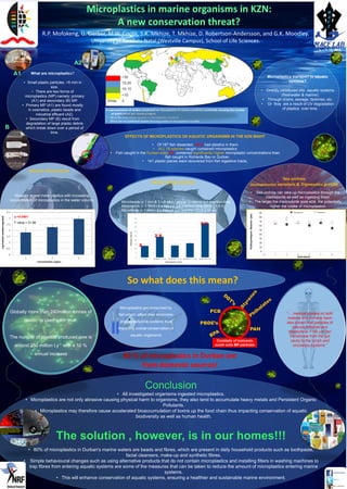 Microplastics in marine organisms in KZN:
A new conservation threat?
A representation of studies conducted on microplastics in various countries worldwide showing the number
of publications per country/region.
• UK is the most active country in microplastics research
• Africa has no published studies focusing solely on microplastics to date .
So what does this mean?
80 % of microplastics in Durban are
from domestic sources!
“… medical studies on both
rodents and humans have
also shown that particles of
polyvinylchloride and
polystyrene <150 µm can
translocate from the gut
cavity to the lymph and
circulatory systems.”
Microplastics get consumed by
fish which affect their endocrine
and reproductive systems thus
impacting overall conservation of
aquatic organisms
R.P. Mofokeng, G. Gerber, M.W. Coote, S.K. Mkhize, T. Mkhize, D. Robertson-Andersson, and G.K. Moodley.
University of KwaZulu-Natal (Westville Campus), School of Life Sciences.
What are microplastics?
• Small plastic particles, <5 mm in
size.
• There are two forms of
microplastics (MP) namely; primary
(A1) and secondary (B) MP.
• Primary MP (A1) are found mostly
in cosmetics, plastic beads and
industrial effluent (A2).
• Secondary MP (B) result from
degradation of large plastic debris
which break down over a period of
time.
p <0.0001
F value = 31.98
Stomopneutes Tripneustes
3 X
Conclusion
• All investigated organisms ingested microplastics.
• Microplastics are not only abrasive causing physical harm to organisms, they also tend to accumulate heavy metals and Persistent Organic
Pollutants.
• Microplastics may therefore cause accelerated bioaccumulation of toxins up the food chain thus impacting conservation of aquatic
biodiversity as well as human health.
The solution , however, is in our homes!!!
• 80% of microplastics in Durban's marine waters are beads and fibres, which are present in daily household products such as toothpaste,
facial cleansers, make-up and synthetic fibres.
• Simple behavioural changes such as using alternative products that do not contain microplastics and installing filters in washing machines to
trap fibres from entering aquatic systems are some of the measures that can be taken to reduce the amount of microplastics entering marine
systems.
• This will enhance conservation of aquatic systems, ensuring a healthier and sustainable marine environment.
2 X
X
Microbeads (< 1 mm & 1 – 2 mm) - similar to natural gut retention time
Microbeads (> 5 mm) - 3 x Natural gut retention time (39.6 + 5.8 h)
Microfibres (> 1 mm) - 2 x Natural gut retention (23.8 + 10.4h)
Mussels ingest more plastics with increasing
concentration of microplastics in the water column.
• Sea urchins can take up microplastics through the
madreporite as well as ingesting them.
• The larger the madreporite pore size, the potentially
higher the intake of microplastics.
Globally more than 240million tonnes of
plastic is used each year.
The number of plastics produced now is
around 250 million t.y-1 with a 10 %
annual increase
Mussel: Perna perna
Sea urchins:
Stomopneustes variolaris & Tripneustes gratillaMullet: Mugil cephalus
EFFECTS OF MICROPLASTICS ON AQUATIC ORGANISMS IN THE KZN BIGHT
• Of 187 fish dissected, 34 % had plastics in them
• ALL 16 species caught contained microplastics
• Fish caught in the Durban eddy contained significantly higher microplastic concentrations than
fish caught in Richards Bay or Durban.
• 141 plastic pieces were recovered from fish digestive tracts.
A1
A2
B
Microplastics transport to aquatic
systems?
• Directly introduced into aquatic systems
(freshwater & marine):
• Through drains, sewage, factories, etc.
• Or they are a result of UV degradation
of plastics over time.
Cocktails of toxicants
scorb onto MP particles
PCB
PAH
PBDE’s
 