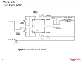 Model 49i Flow Schematic 