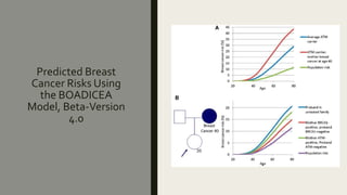 Boadicea: A Comprehensive Breast Cancer Risk Prediction Model – ABGY