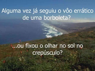 Alguma vez já seguiu o vôo errático de uma borboleta?  ...ou fixou o olhar no sol no crepúsculo? 