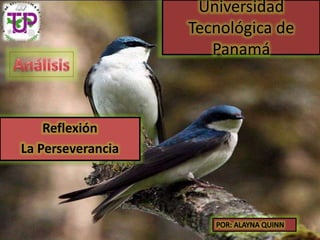 Universidad
Tecnológica de
Panamá
Reflexión
La Perseverancia
 