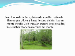 En el fondo de la finca, detrás de aquella cortina de
álamos que Ud. ve, y hasta la costa del río, hay un
monte inculto y sin trabajar. Dentro de ese cuadro,
suele haber chanchos salvajes del monte.
 