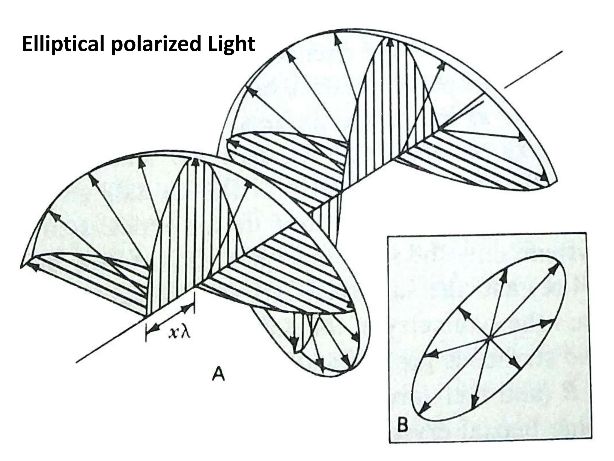 Reflected light Optics and Preparation of polished ore samples.pptx