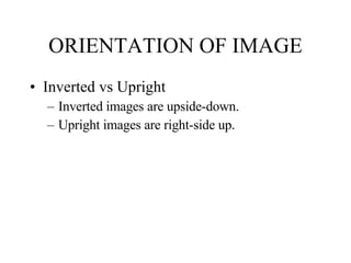 ORIENTATION OF IMAGE Inverted vs Upright Inverted images are upside-down. Upright images are right-side up. 