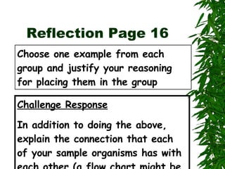 Reflection Page 16 Choose one example from each group and justify your reasoning for placing them in the group Challenge Response In addition to doing the above, explain the connection that each of your sample organisms has with each other (a flow chart might be useful) 