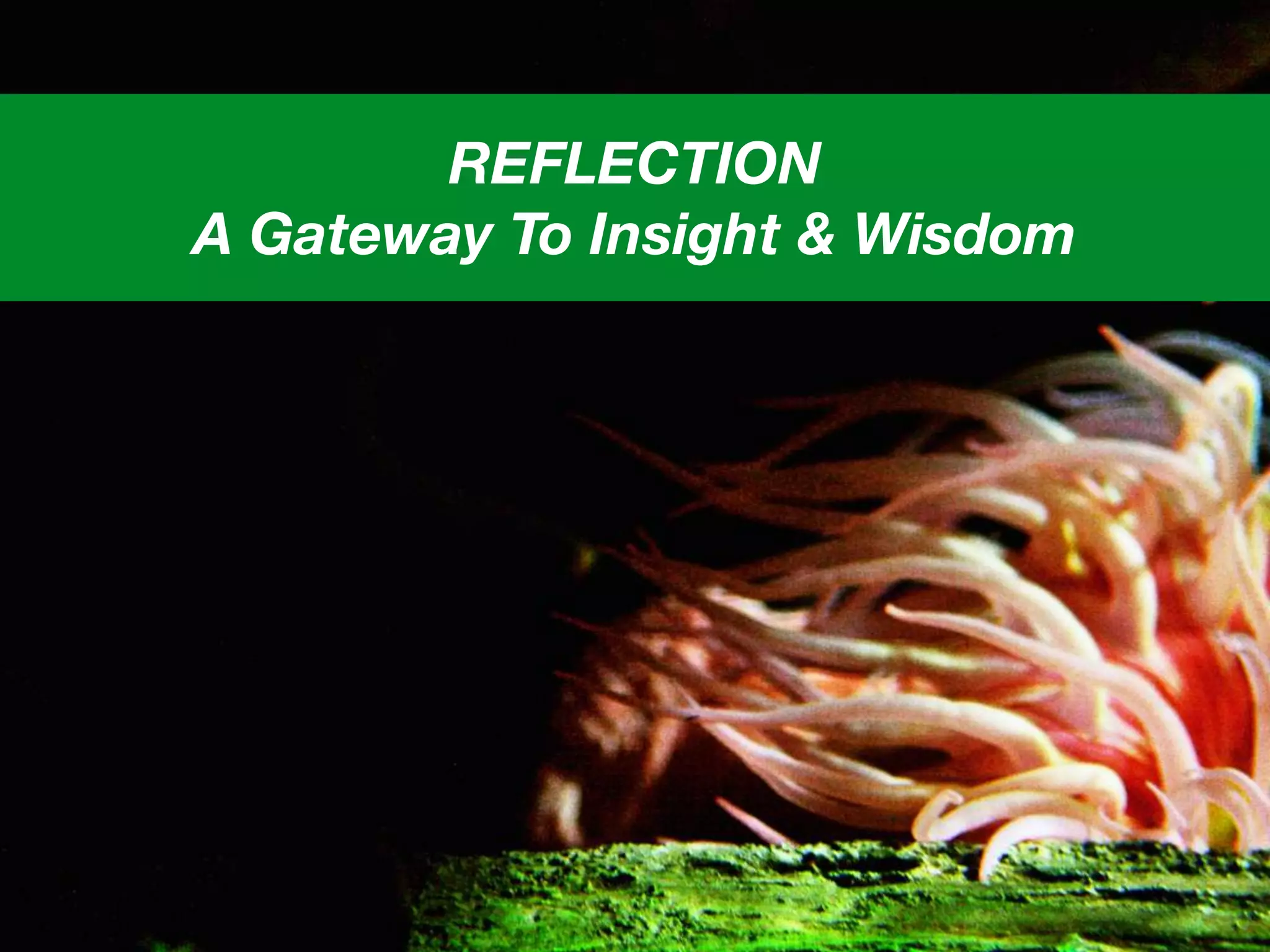 REFLECTION
A Gateway To Insight & Wisdom
 