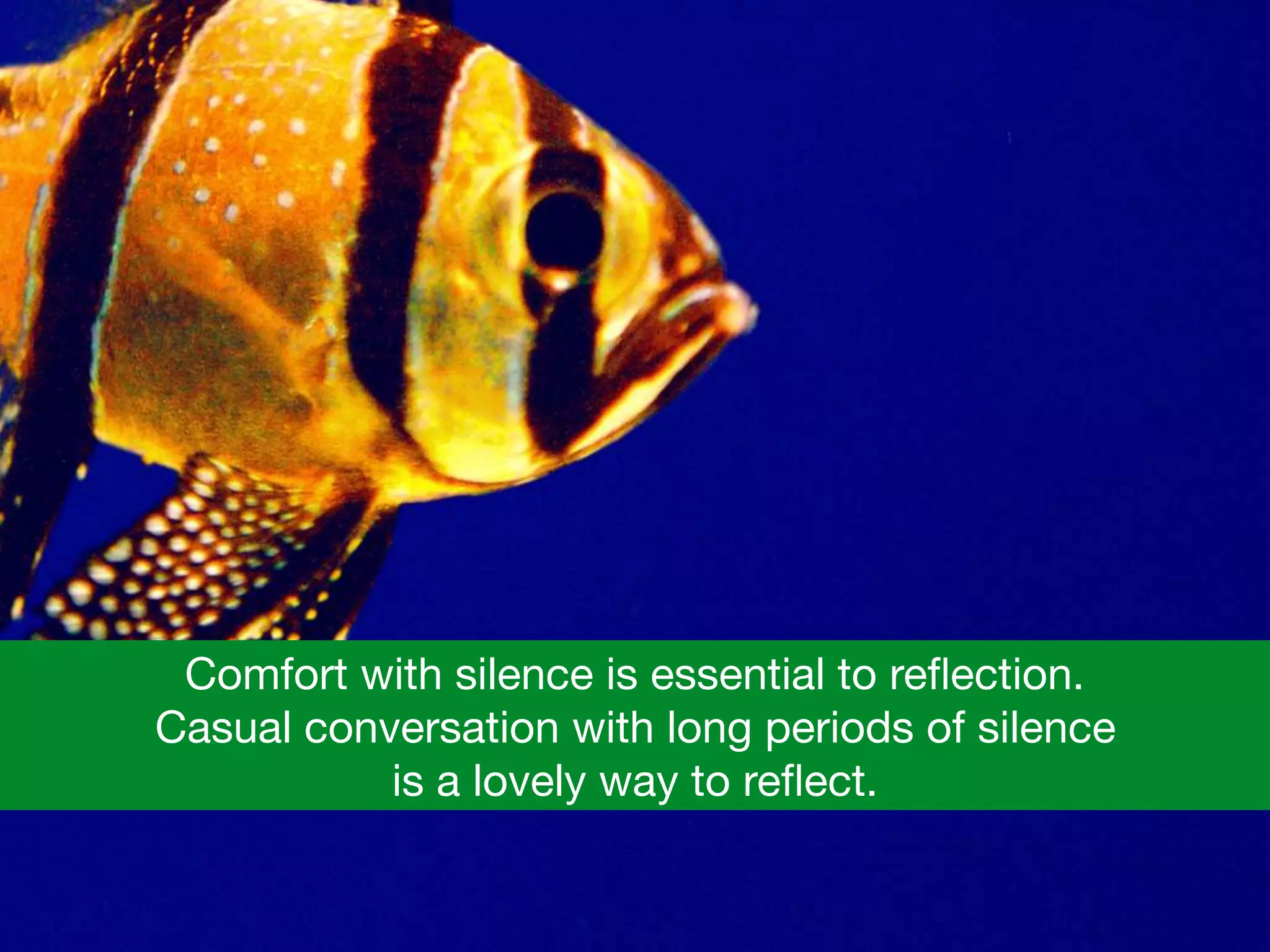 Comfort with silence is essential to reﬂection.  

Casual conversation with long periods of silence 

is a lovely way to reﬂect.
 