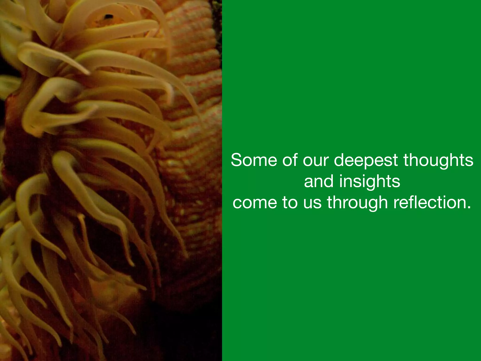 Some of our deepest thoughts
and insights 

come to us through reﬂection.
 