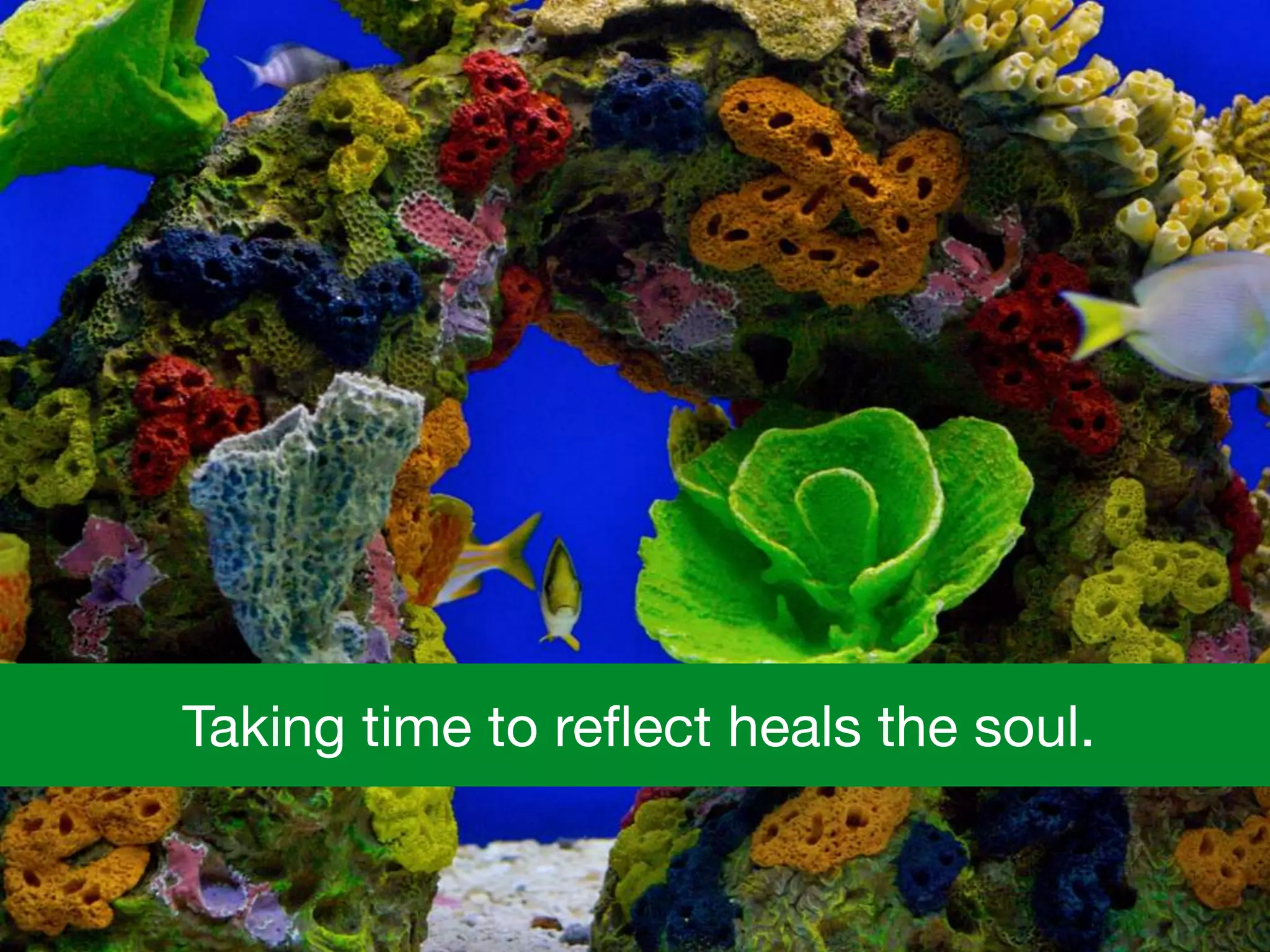 Taking time to reﬂect heals the soul.
 