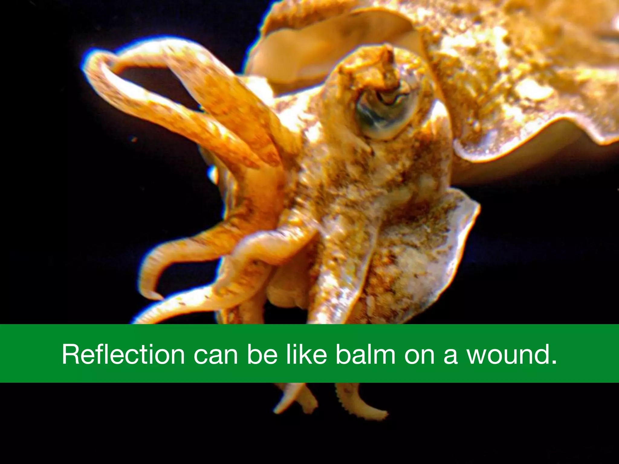 Reﬂection can be like balm on a wound.
 