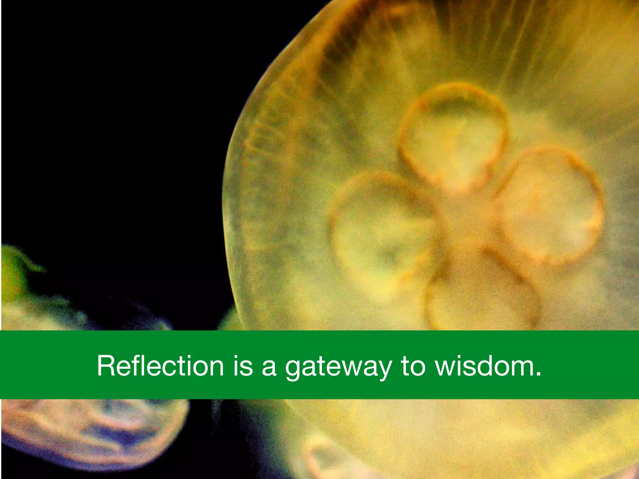 Reﬂection is a gateway to wisdom.
 