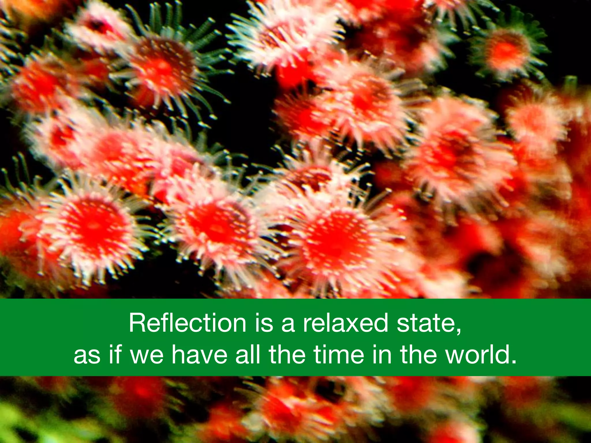 Reﬂection is a relaxed state, 

as if we have all the time in the world.
 
