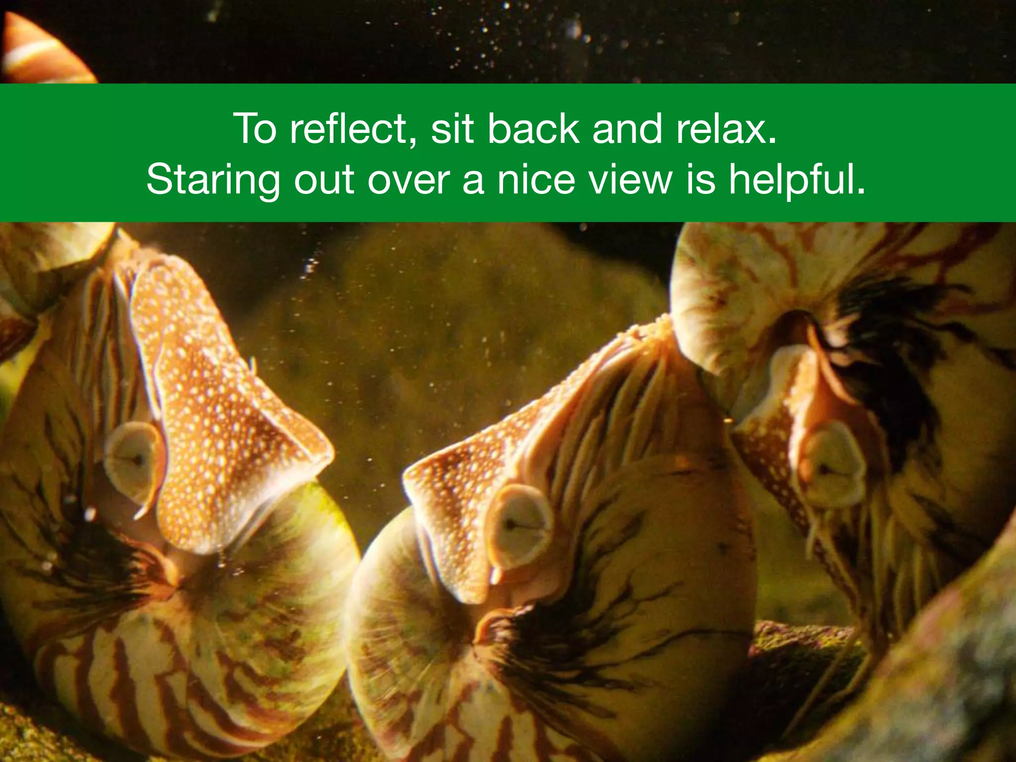 To reﬂect, sit back and relax.  

Staring out over a nice view is helpful.
 