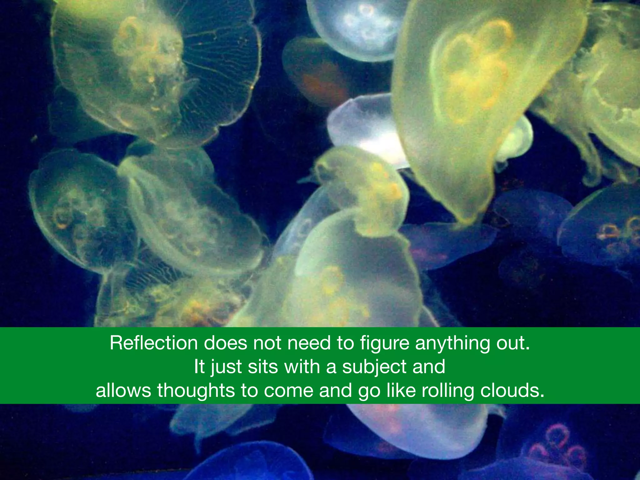 Reﬂection does not need to ﬁgure anything out.  

It just sits with a subject and 

allows thoughts to come and go like rolling clouds.
 