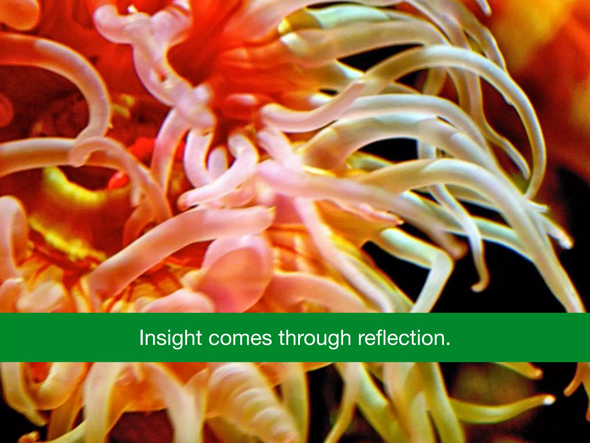 Insight comes through reﬂection.
 
