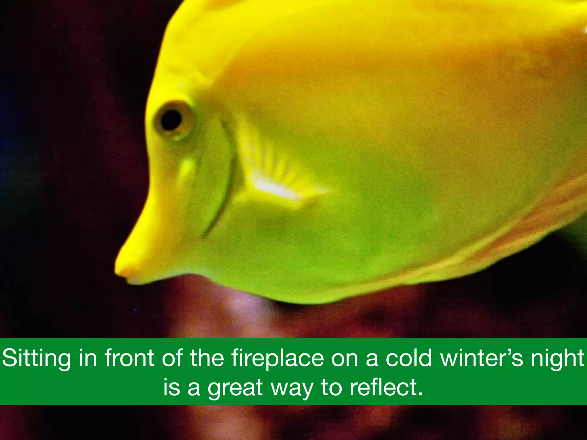 Sitting in front of the ﬁreplace on a cold winter’s night
is a great way to reﬂect.
 