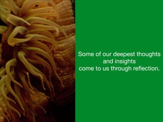 Some of our deepest thoughts
and insights 

come to us through reﬂection.
 