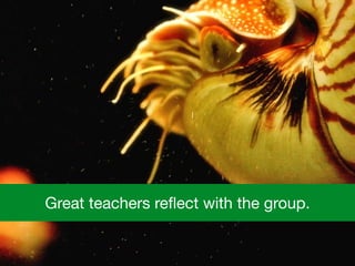 Great teachers reﬂect with the group.
 