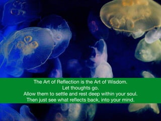 The Art of Reﬂection is the Art of Wisdom.  

Let thoughts go. 

Allow them to settle and rest deep within your soul.  

Then just see what reﬂects back, into your mind.
 