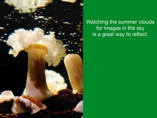 Watching the summer clouds
for images in the sky 

is a great way to reﬂect.
 