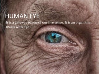 HUMAN EYE
It is a gateway to one of our five sense. It is an organ that
reacts with light .
 