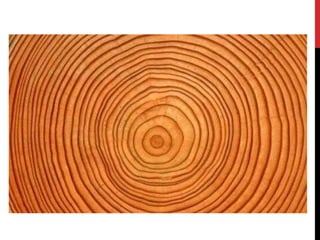 GCSE ESA_Reflection Lessons