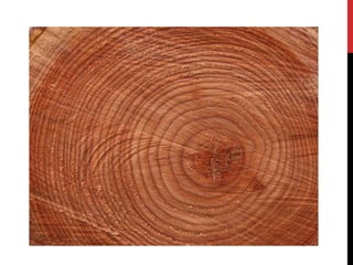 GCSE ESA_Reflection Lessons